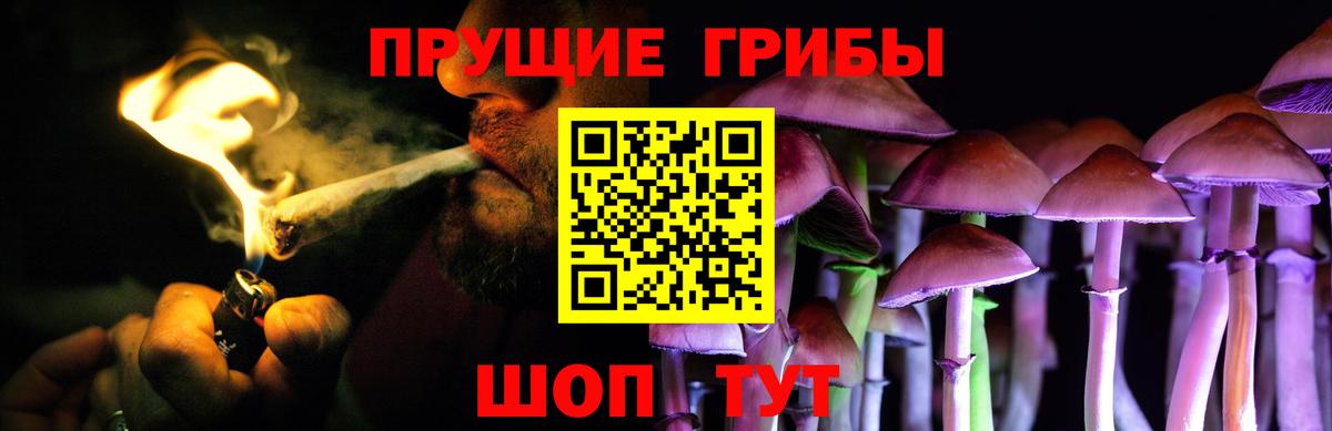Егорьевск  закладка  Вход с VPN  Галлюциногенные грибы Psilocybe  Псилоцибиновые грибы Cubensis 